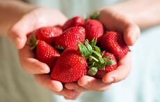Tis the (strawberry) season! Tasty summer recipes to try from Bord Bia