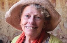 Irish pro-Palestinian activist fighting deportation after Israeli arrest