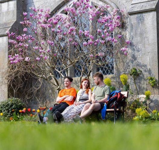 Discover Gaelic Literature and Culture with University College Cork's online course