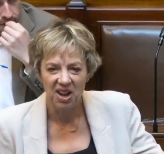 TD flashes JD Vance meme in the Dáil while criticizing new US visa vetting