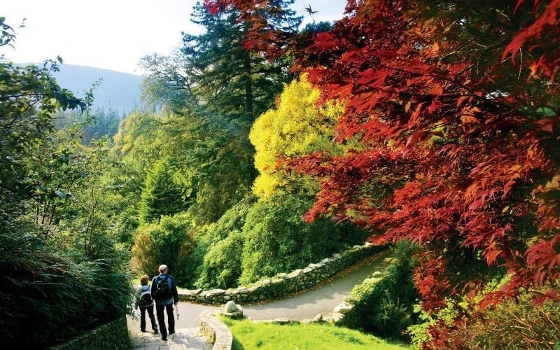 Top 10 most beautiful walks in Northern Ireland