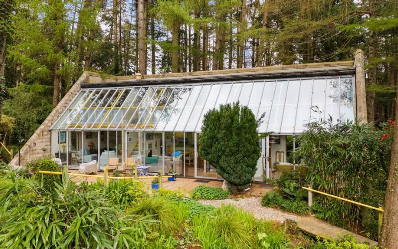 Look inside quirky Wicklow woodland home as it hits the market for €1.15m