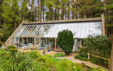 Look inside quirky Wicklow woodland home as it hits the market for €1.15m