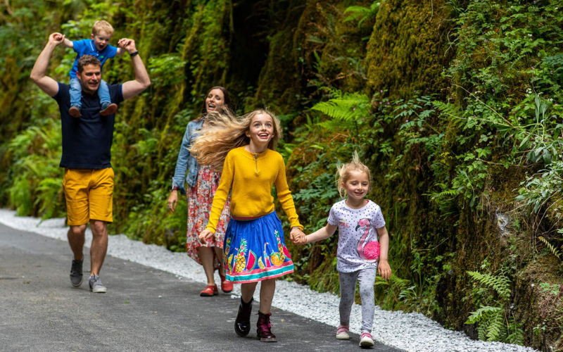 Come home to the West: Discover Ireland differently on Limerick Greenway