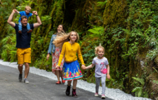 Come home to the West: Discover Ireland differently on Limerick Greenway