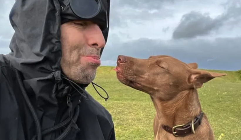 Liam Gallagher pays tribute to dog he adopted from Irishman’s rescue shelter