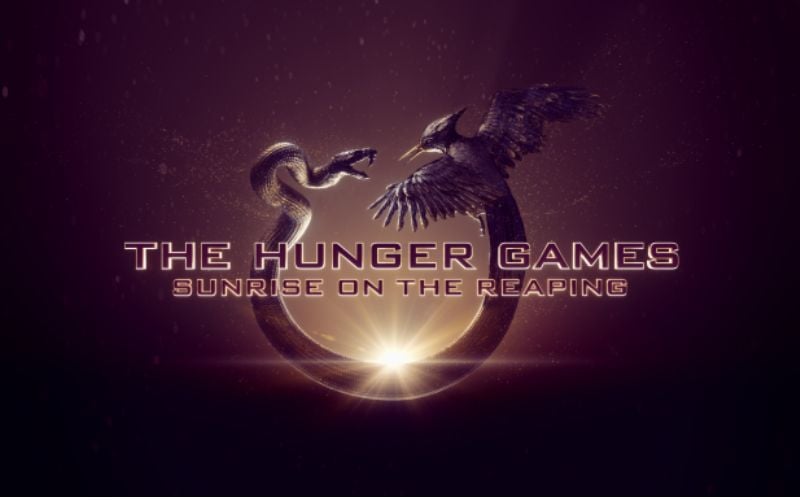 "I was so in shock" Irish actress Molly McCann on landing role in "Hunger Games" film