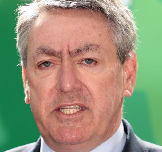 Billy Kelleher throws his hat in the ring for Fianna Fáil in bid for the Áras