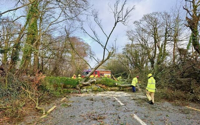 Jan 2025: Storm Eowyn causes huge damage in County Meath.
