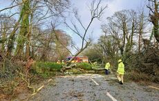 Did your name end up on this year’s list of Irish Storms?