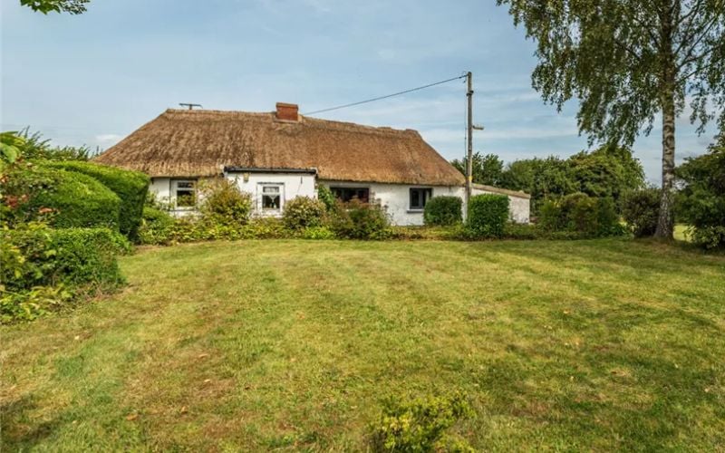 Own a piece of living history! Charming thatched cottage for sale in Kildare