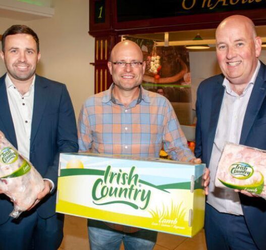 Irish Country Meats become first Irish lamb processor to launch in US market