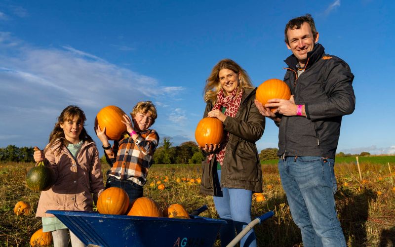 The 20 best pumpkin patches in Ireland for Halloween family fun in 2025