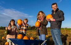The 20 best pumpkin patches in Ireland for Halloween family fun in 2025