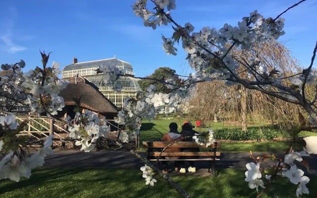 The popular ‘Biophilia Tour’ is returning to the National Botanic Gardens in Dublin this January.