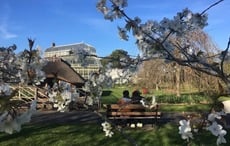 The National Botanic Gardens invite visitors to reconnect with nature this January