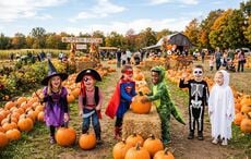 Season of the witch! Spooky trails and Samhain fun to get stuck into this Halloween