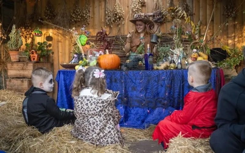 Celebrate Halloween with these spine-tingling events at Ireland's heritage sites