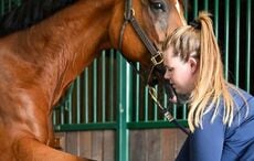 “A love for hardship”: How Clare’s Caitlin Fitz built an equine therapy business in America