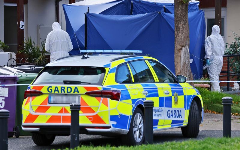 "You always said this world was no good without your two babies" - Tributes pour in after Dublin couple dies