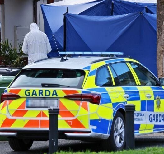 "You always said this world was no good without your two babies" - Tributes pour in after Dublin couple dies