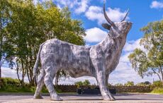 Co Westmeath is home to Ireland's Tidiest Town (and Village!) of 2026