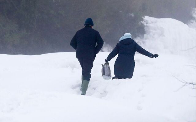 Scenes in March 2018 at Kilteel on the Wicklow/Kildare/Dublin border.