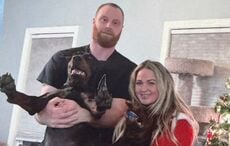 "Detention is a choice" - US officials reject Irish man’s descriptions of ICE facilities