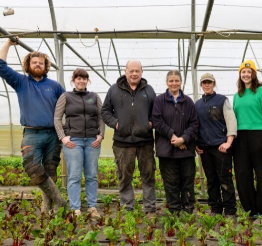 Ireland's food producers drive a new wave of Michelin Guide recognition