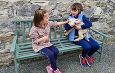 Lambs, legends, and local chocolate: Easter in Ireland