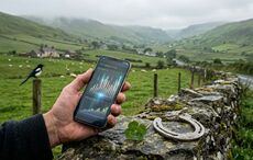 Is our modern obsession with data killing the romance of Irish luck?