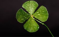 How do Ireland and other countries inspire casino games?