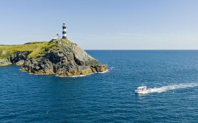 Atlantic Whale and Wildlife Tours in County Cork.