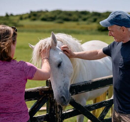 Ireland unrushed makes May the perfect time to slow down