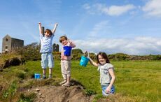 Find Your Wild in Waterford 