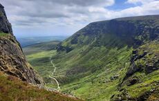 Find Your Wild in Waterford 