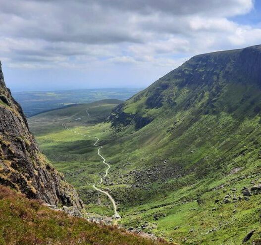 Find Your Wild in Waterford 