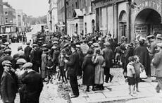 Changes to Ireland's economy laid bare in country's first census