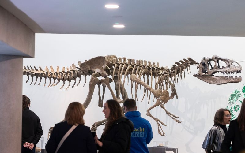 Why global gallery studies matters now