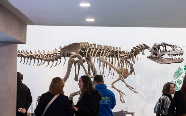 Domain of the Dinosaurs is a pioneering exhibition of scientific and artistic displays, running in University College Cork’s Glucksman Gallery until April 12 2026.