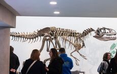 Why global gallery studies matters now