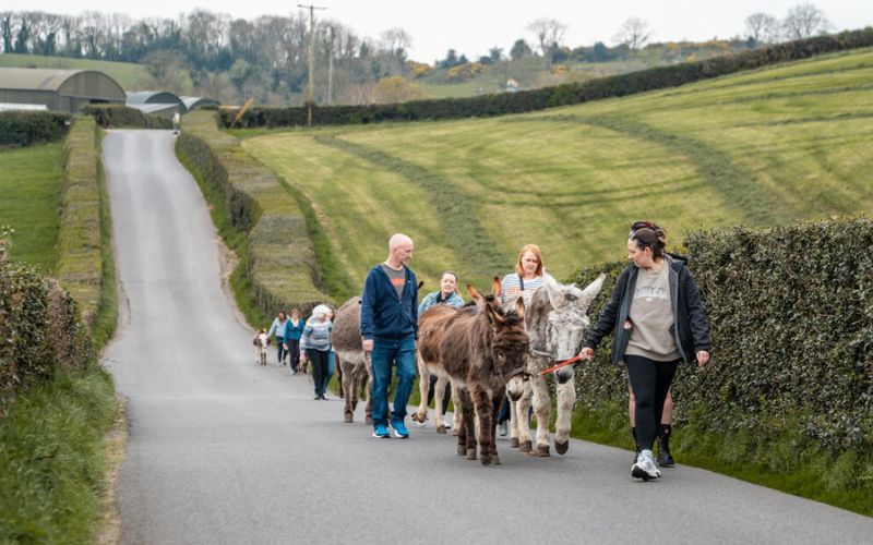 Ireland’s quirky side offers the perfect slow travel escape