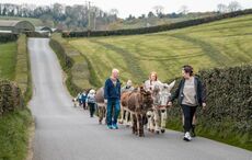 Ireland’s quirky side offers the perfect slow travel escape