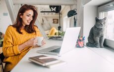 Revealed: How much time Irish office workers are saving through use of AI