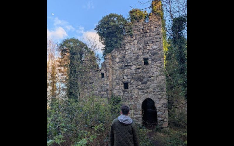Irish American helps rediscover forgotten Co Down castle