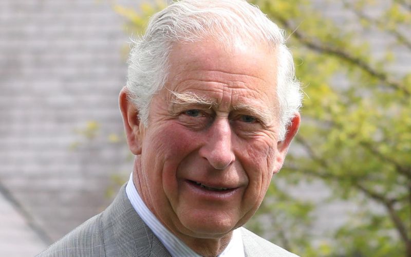 Seagull splatters Britain’s King Charles during trip to Co Down