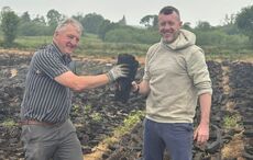 Sligo expat launches free tool to help global Irish diaspora navigate government grants