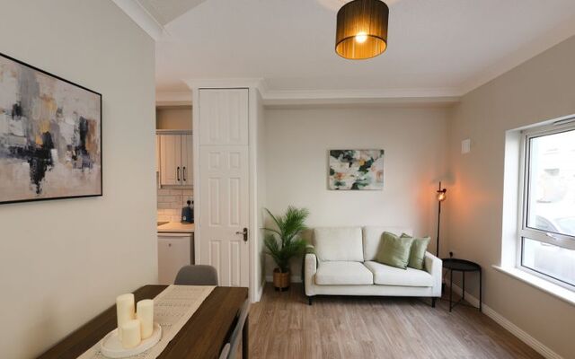 The beautifully finished and furnished living room in the Galway City apartment.