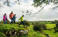 The best family walks in Northern Ireland revealed