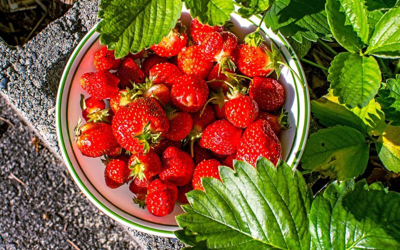 This strawberry Battenberg loaf gives a classic bake an Irish summer twist